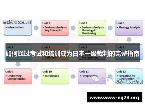 如何通过考试和培训成为日本一级裁判的完整指南 如何通过考试和培训成为日本一级裁判的完整指南
