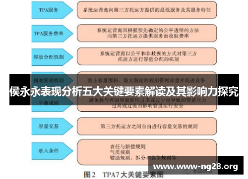 侯永永表现分析五大关键要素解读及其影响力探究 侯永永表现分析五大关键要素解读及其影响力探究