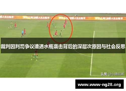 裁判因判罚争议遭遇水瓶袭击背后的深层次原因与社会反思