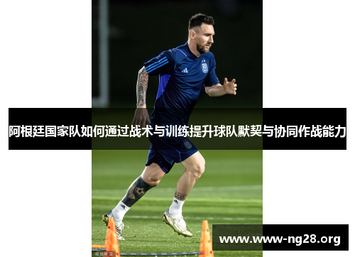 阿根廷国家队如何通过战术与训练提升球队默契与协同作战能力 阿根廷国家队如何通过战术与训练提升球队默契与协同作战能力