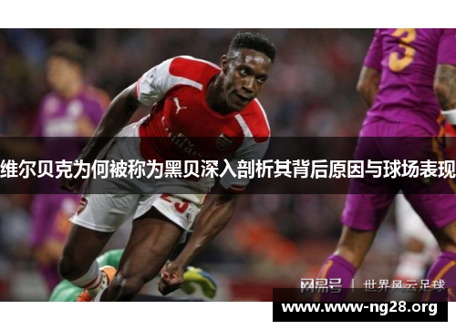 维尔贝克为何被称为黑贝深入剖析其背后原因与球场表现